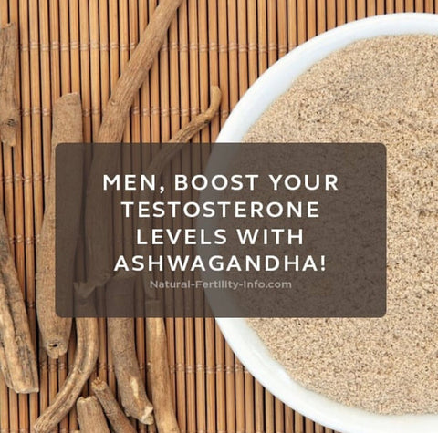are you looking for testosterone booster, then ashwagandha honey from honey basket is the best choice
