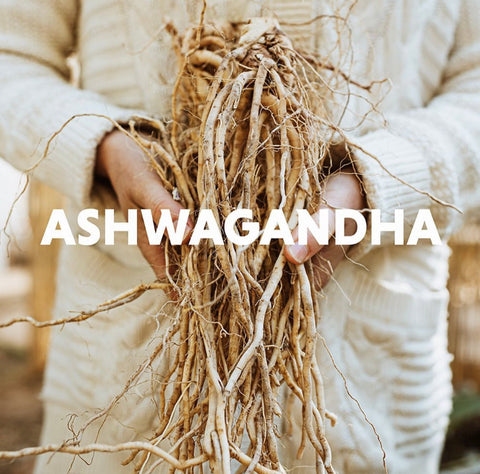 Ashwagandha Honey - natural potent - Honeybasket