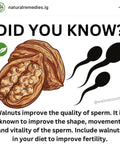 Buy Organic original walnut kernels - Honeybasket